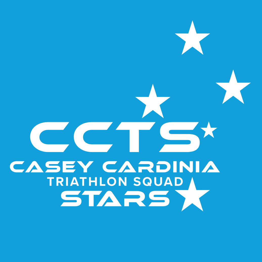 CCTS-StarsLogo-New-B